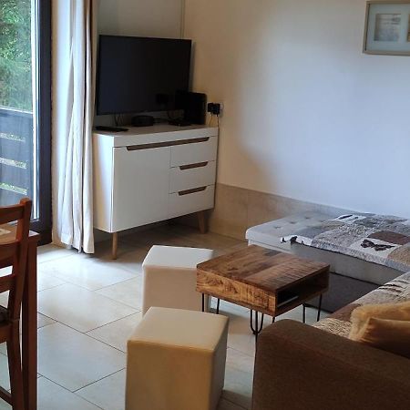 Planika B&M Apartman Bohinji-tó Kültér fotó