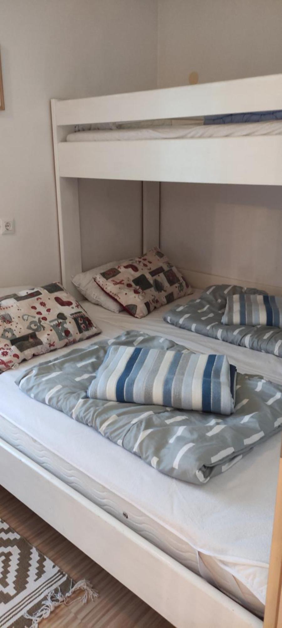 Planika B&M Apartman Bohinji-tó Kültér fotó