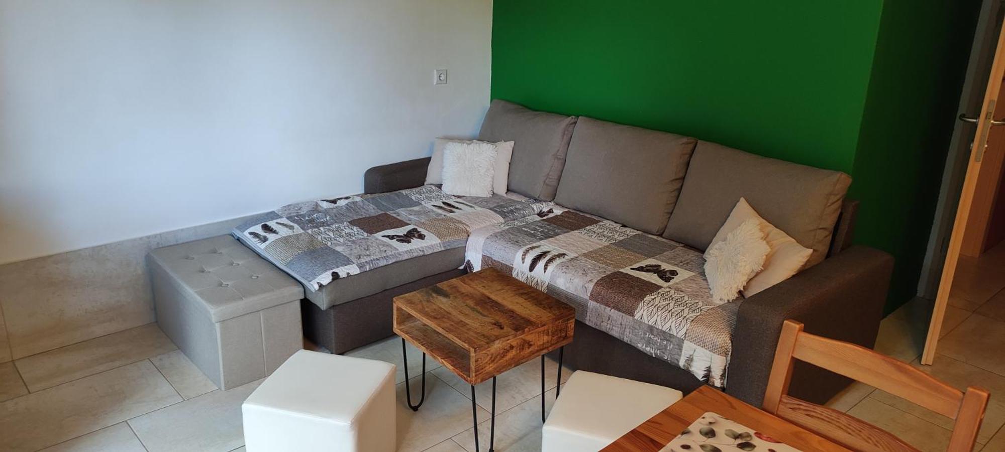 Planika B&M Apartman Bohinji-tó Kültér fotó