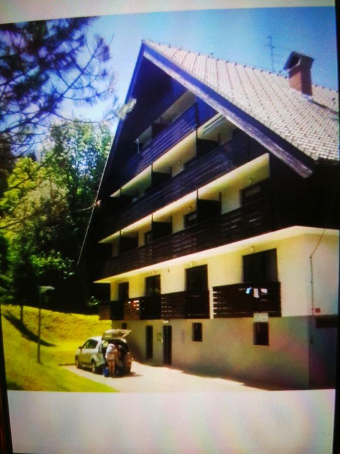 Planika B&M Apartman Bohinji-tó Kültér fotó