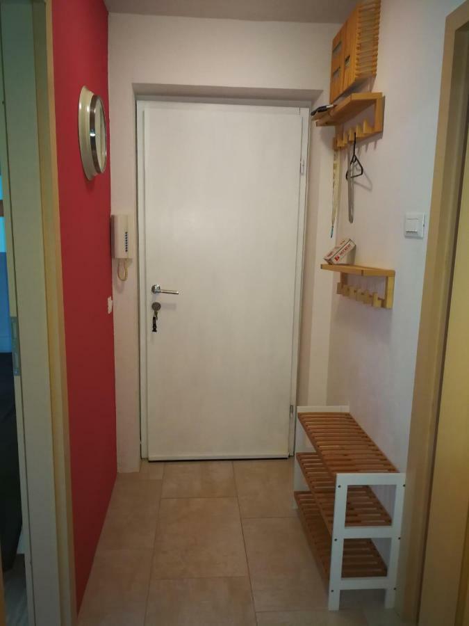 Planika B&M Apartman Bohinji-tó Kültér fotó