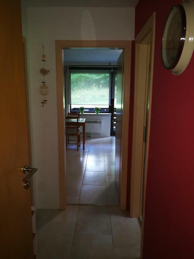 Planika B&M Apartman Bohinji-tó Kültér fotó