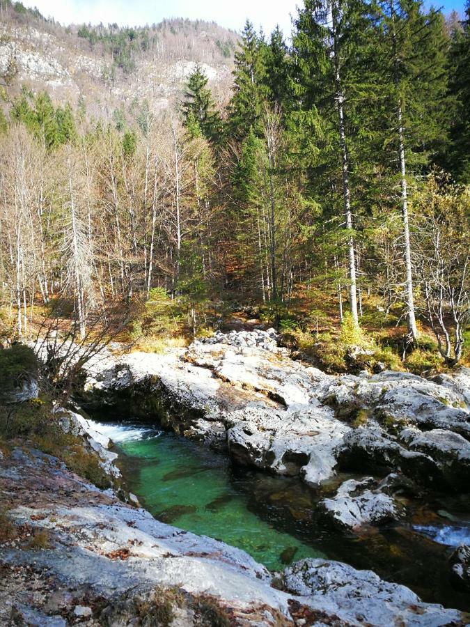 Planika B&M Apartman Bohinji-tó Kültér fotó