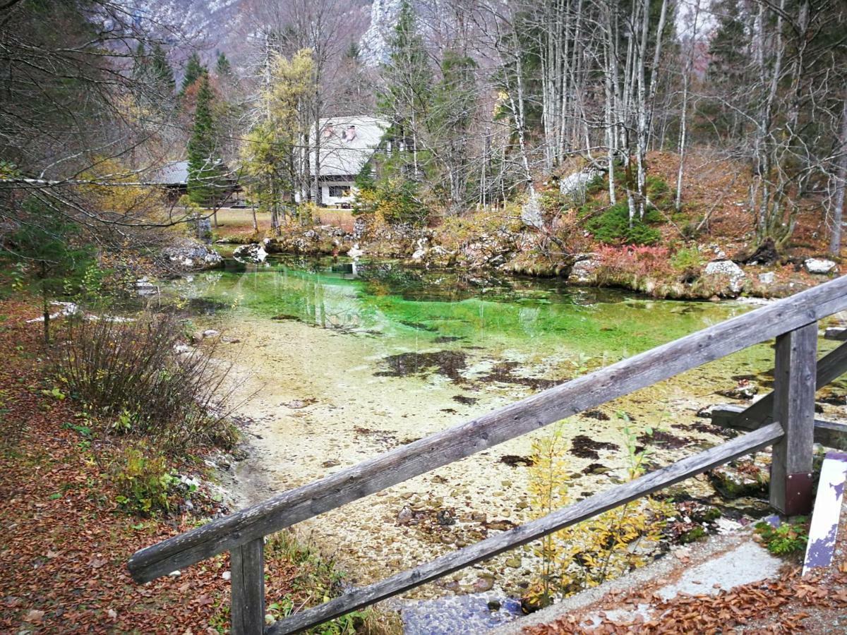 Planika B&M Apartman Bohinji-tó Kültér fotó