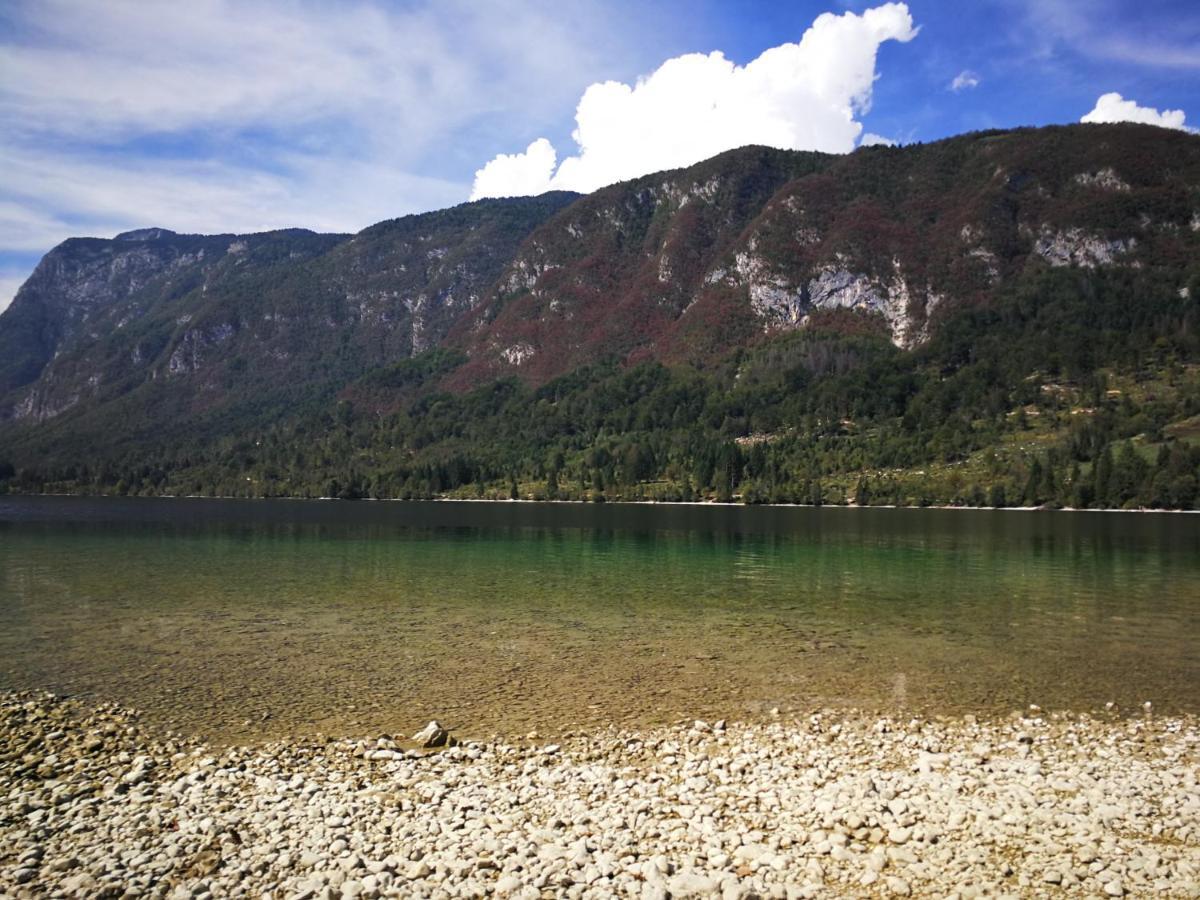 Planika B&M Apartman Bohinji-tó Kültér fotó